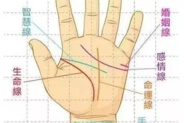 从手掌看人生：女性手相的五大关键特征