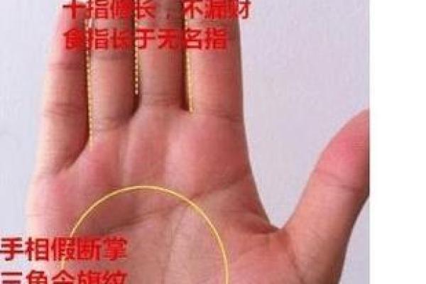 男人手掌断掌纹的意义与命运影响