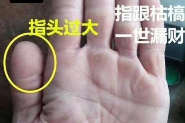 男人手掌断掌纹的意义与命运影响