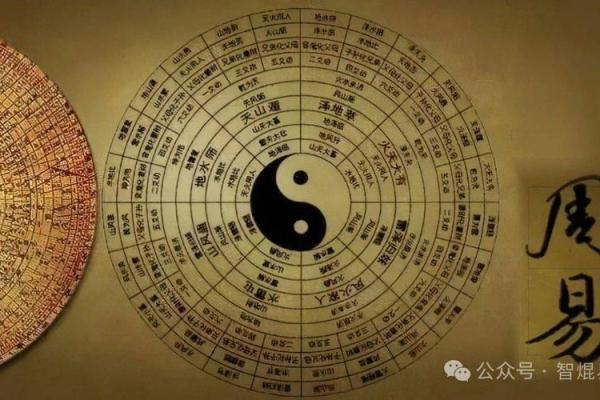 解密天干地支：哪个因素对命运的影响更大