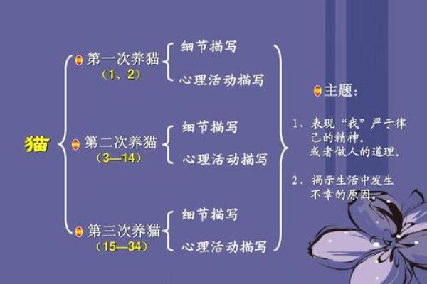 做梦梦到猫：心理学与文化的解读