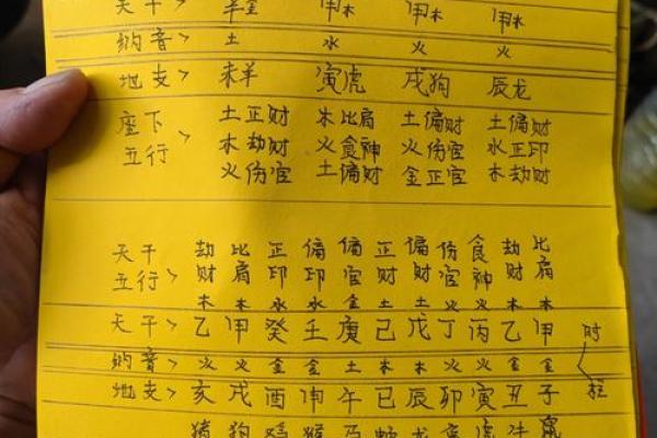 解读天干地支如何影响个人命运