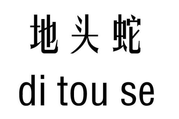 隆字五行属性解析及其在命理中的应用