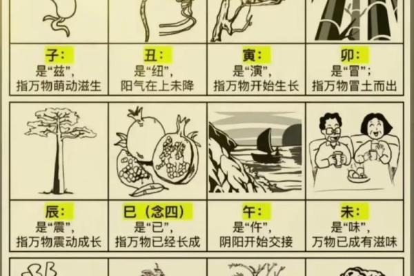 今日天干地支解读与运势分析