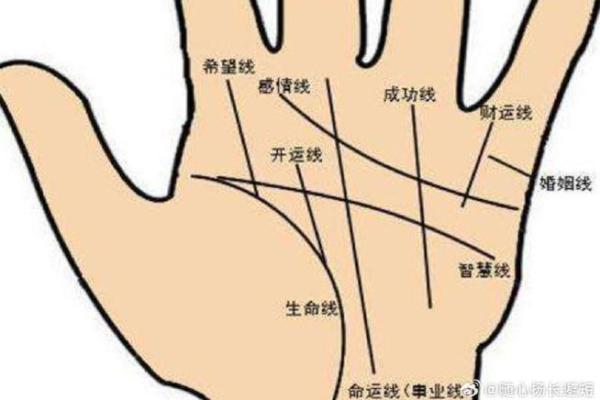 右手手相图解：掌纹如何揭示你的成功与挑战