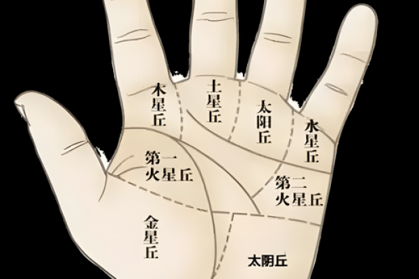 看手相学：用掌纹解析你的运势与性格