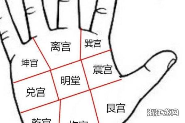 探秘通天纹手相：揭示命运与性格的独特密码