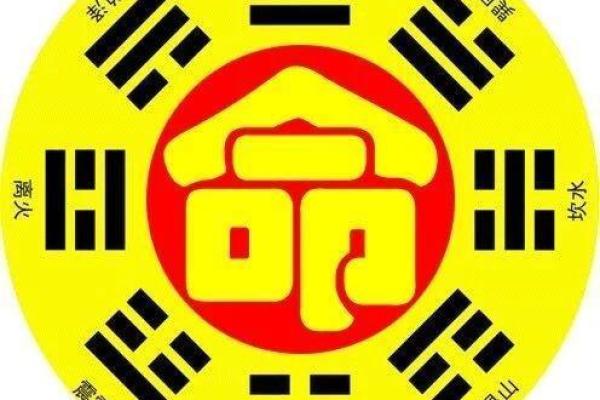 命理博客新手指南：从基础到进阶的命运解析
