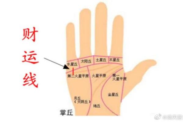 面相手相如何影响你的事业与财富