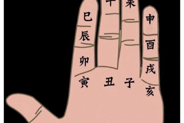 如何通过地支阴阳属性解读个人命运