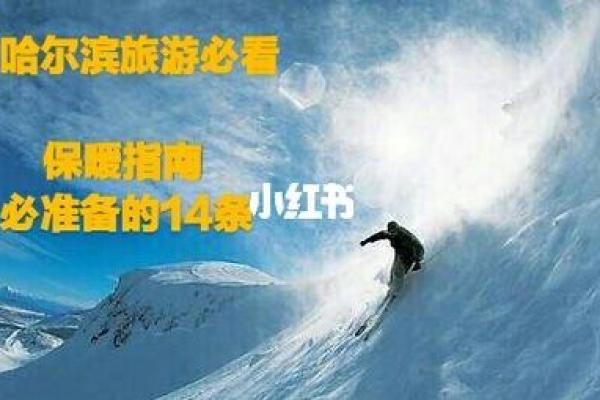 迎接冬季节庆：从感恩节到圣诞节的节日准备指南