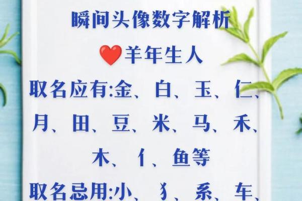 如何为羊年宝宝起个既吉利又独特的名字