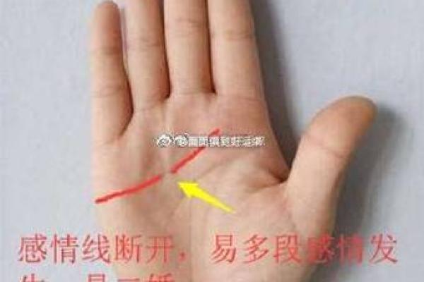 手相揭示婚姻时机 探秘结婚的最佳时间点
