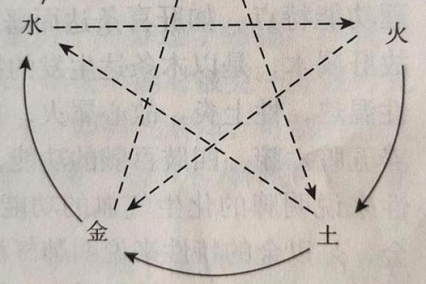 卯在五行中属木的解析与影响