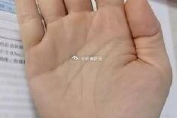 元亨利贞八字排盘网助你解读命运密码