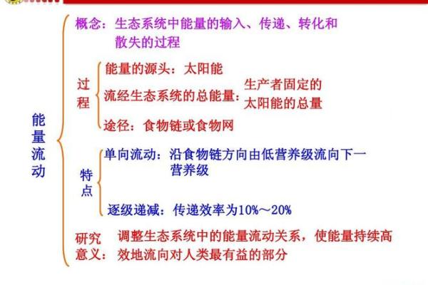 风水学中的能量流动与空间布局
