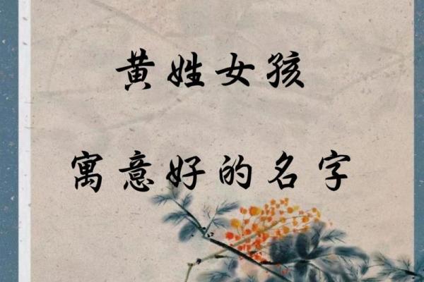 黄姓男宝宝取名指南：寓意深远的精选名字推荐