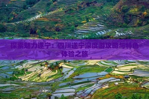 探寻四川特色文化的魅力与深度