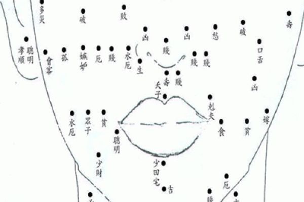 女人身体痣相图解：揭示不同痣象背后的生活与情感趋势