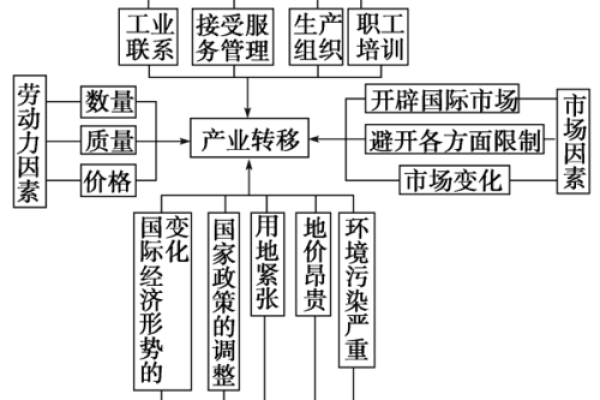 琪五行属性解析及其影响因素分析