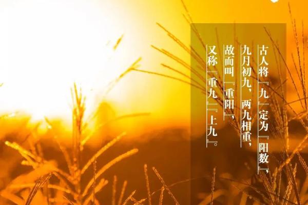 秋风送爽，感受秋季节日的独特魅力