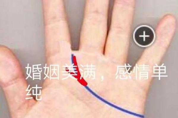 探索女性手相中的智慧与情感秘密