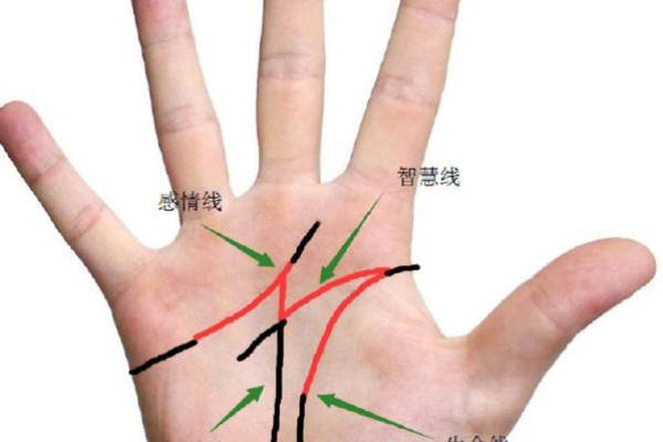 探索女性手相中的智慧与情感秘密