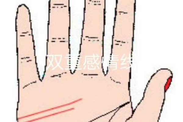 面相手相中的命运玄机：揭示个性与运势的关联