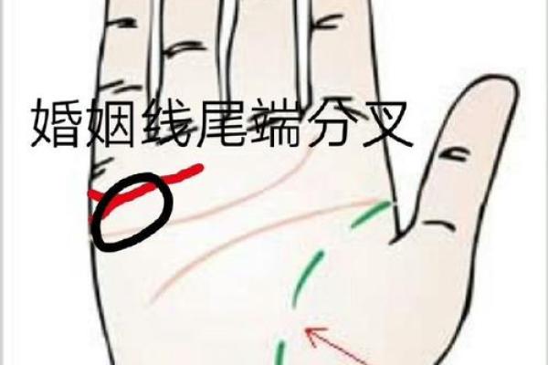 面相手相中的命运玄机：揭示个性与运势的关联