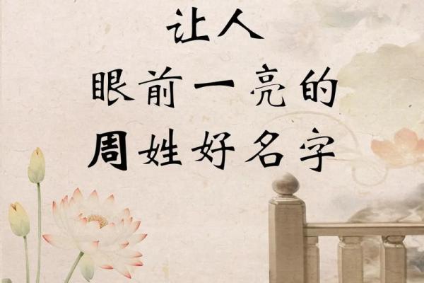 周姓取名技巧与注意事项，打造独特个性名字