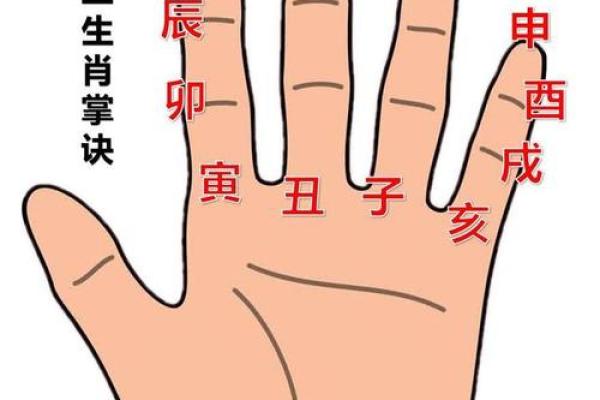 了解地支六害：如何化解命理中的不利因素