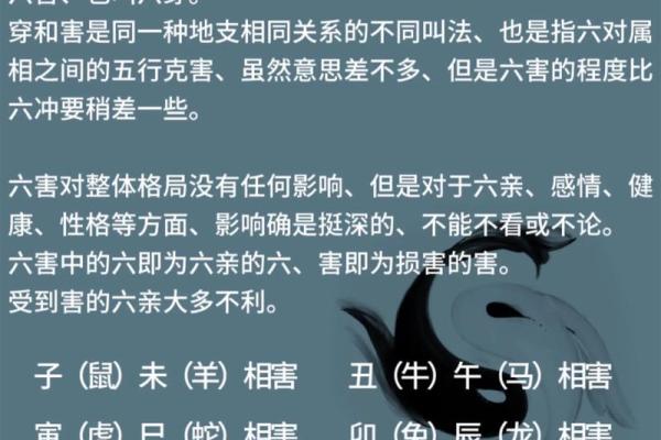 了解地支六害：如何化解命理中的不利因素