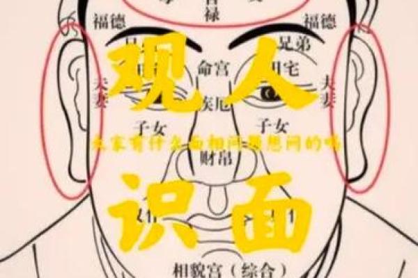 揭秘面相学：不同面部特征背后的深层含义
