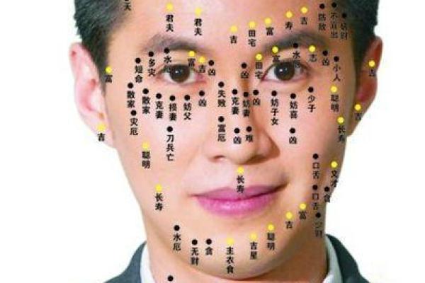 细看眼睛面相：掌握不同眼形的性格特征与运势趋势