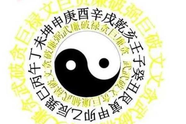 招财秘法风水：助你财运亨通的布局技巧