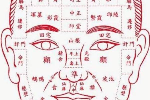 面相学中的佛像面相，如何影响人生运势