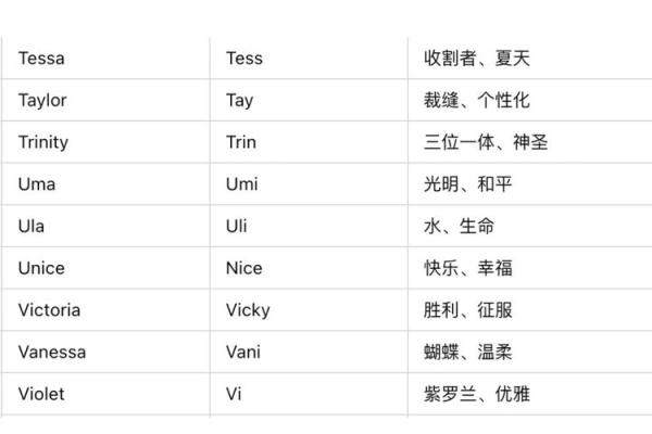 探索英文名字评分系统：如何衡量一个名字的好坏