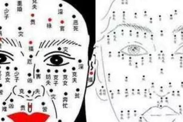 全方位解读痣相与身体各部位的联系