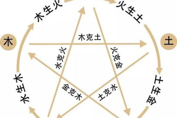 流年天干地支与五行命理的关系揭秘