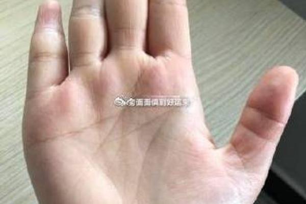 手相分析：通过手掌纹理看出你的事业与爱情趋势