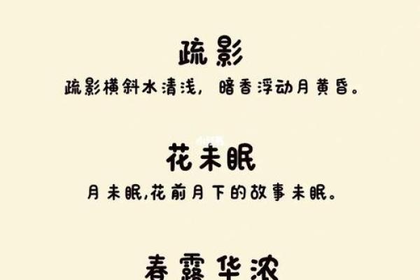 创意花店名字大全 让你的店铺更具吸引力