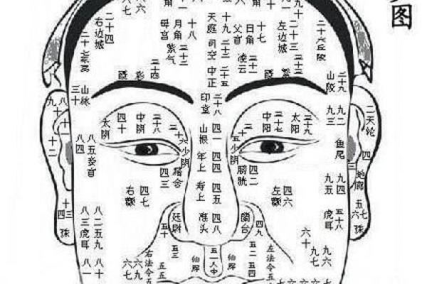 女人面相有福气的标志，解密好运的面部特征