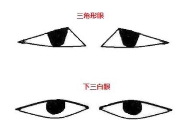 揭秘男人花心的面相特征 通过这些细节判断他的真心