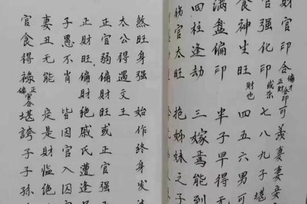 免费生辰八字测算，快速揭示命运的奥秘