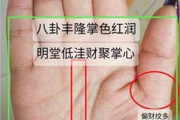 手相揭秘：通过手掌纹路解读你的婚姻运势