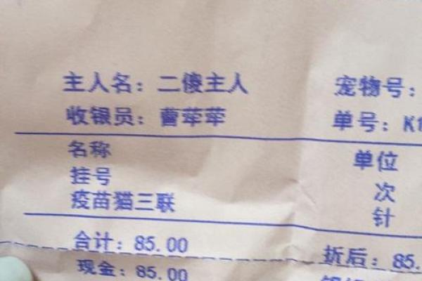挑选狗宝宝名字的创意方法和灵感来源