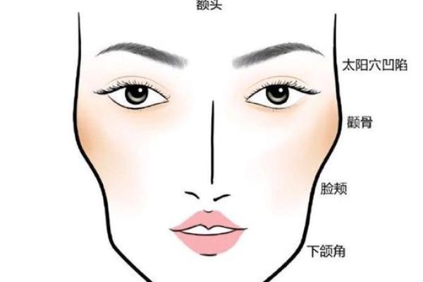 面相学中的下巴尖女性：智慧与独立的标志