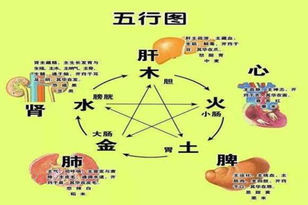 了解天干地支计算器，揭开八字与命运的奥秘