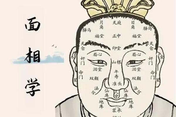 眼睛在面相学中的重要性与性格分析