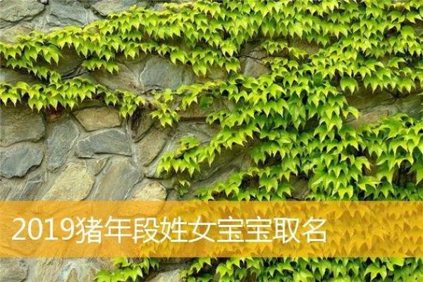 如何为猪年宝宝起个有意义的名字